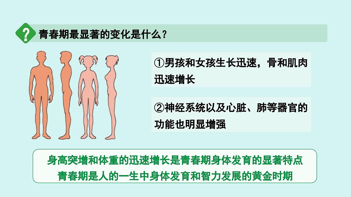 4.1.2 青春期 课件 人教2024版 七年级下册生物第5页