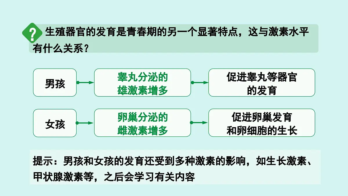 4.1.2 青春期 课件 人教2024版 七年级下册生物第6页