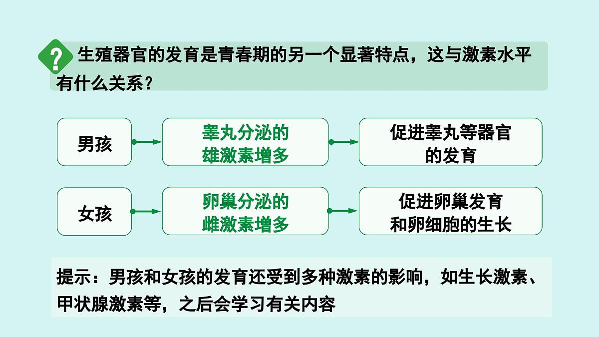4.1.2 青春期 课件 人教2024版 七年级下册生物第6页
