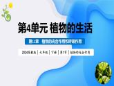 4.11.1 植物的光合作用 課件 2025學(xué)年七年級生物下冊（蘇教版2024）