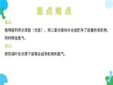4.11.1 植物的光合作用 課件 2025學(xué)年七年級生物下冊（蘇教版2024）