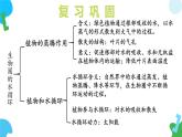 4.11.1 植物的光合作用 課件 2025學(xué)年七年級生物下冊（蘇教版2024）