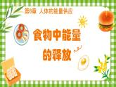 4.8.1 食物中能量的釋放 課件