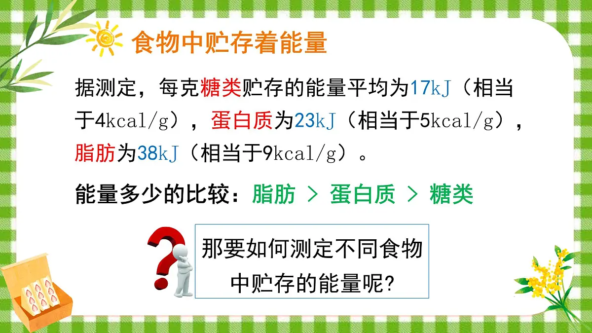 4.8.1 食物中能量的释放 课件第6页