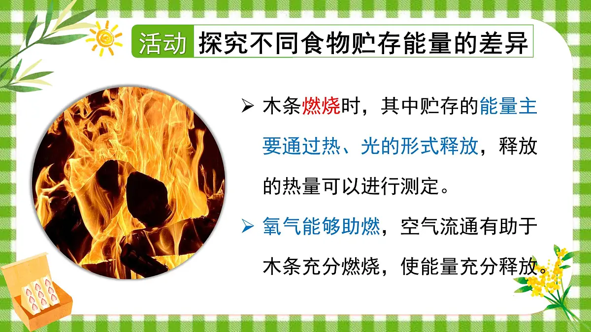 4.8.1 食物中能量的释放 课件第7页