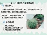 4.10.1  神經系統(tǒng)與神經調節(jié)（課件）-2024-2025學年七年級生物下冊（北師大版2024）