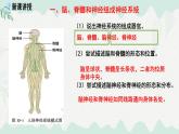 4.10.1  神經系統(tǒng)與神經調節(jié)（課件）-2024-2025學年七年級生物下冊（北師大版2024）