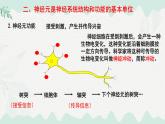 4.10.1  神經系統(tǒng)與神經調節(jié)（課件）-2024-2025學年七年級生物下冊（北師大版2024）