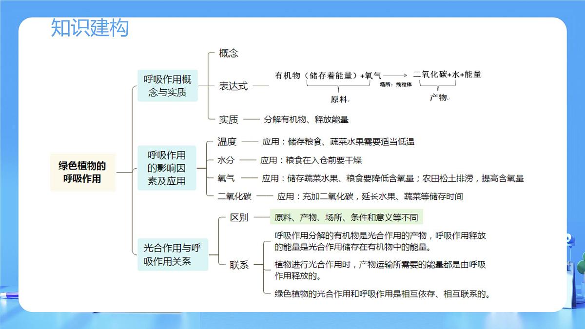 专题08 绿色植物的呼吸作用（课件）-2025年中考生物一轮复习第6页