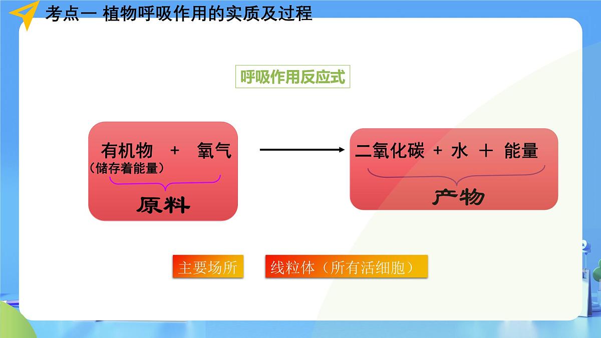 专题08 绿色植物的呼吸作用（课件）-2025年中考生物一轮复习第8页