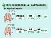 4.3.2发生在肺内的气体交换  课件 人教2024版七年级生物下册