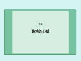 4.4.3 输送血液的泵 心脏 课件 人教2024版七年级生物下册