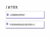 4.2.1 食物中的营养物质 2025学年人教版生物七年级下册任务式教学优质课件