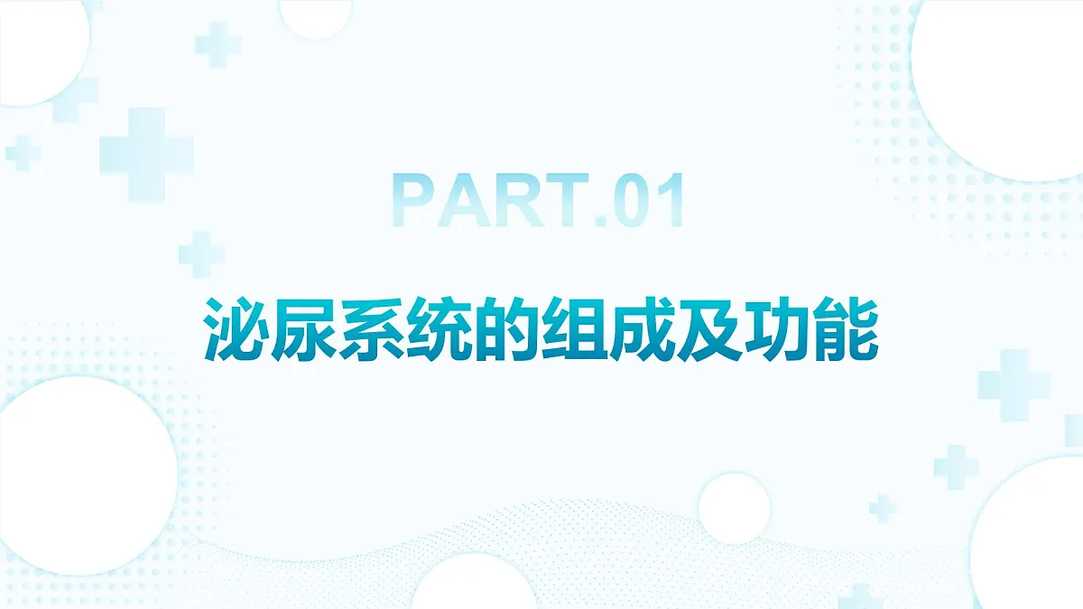 3.2.2 尿液的形成和排出 （第1课时) 2025学年七年级生物下册（北京版2024） 课件第3页
