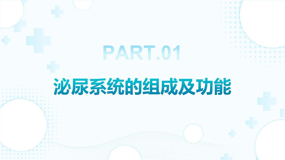 3.2.2 尿液的形成和排出 （第1课时) 2025学年七年级生物下册（北京版2024） 课件第3页