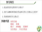 4.1.2 有性生殖增加了后代的多樣性 課件 2025學(xué)年濟(jì)南版生物七年級(jí)下冊(cè)