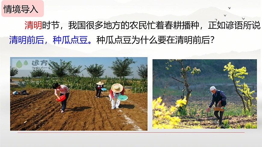 初中生物人教版（2024）七年级下册3.1.1 种子的萌发(共2课时） 课件第2页