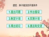 初中生物人教版（2024）七年級下冊3.1.1 種子的萌發(fā) 課件