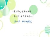 初中生物人教版（2024）七年級(jí)下冊(cè)3.1.1 種子的萌發(fā) 課件