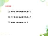 初中生物人教版（2024）七年級(jí)下冊(cè)3.1.1 種子的萌發(fā) 課件