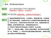 初中生物人教版（2024）七年級(jí)下冊(cè)3.1.1 種子的萌發(fā) 課件