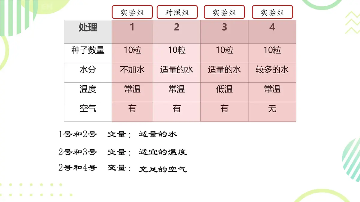 初中生物人教版（2024）七年级下册3.1.1 种子的萌发 课件第7页
