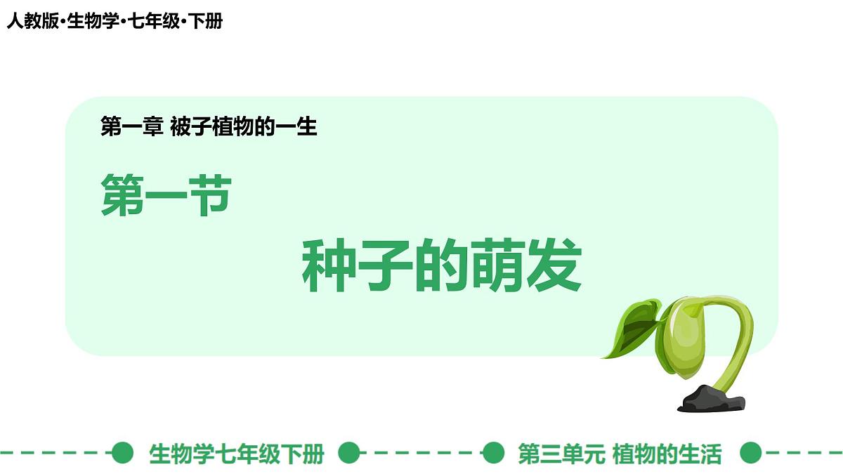 初中生物人教版（2024）七年级下册3.1.1 种子的萌发 课件第1页