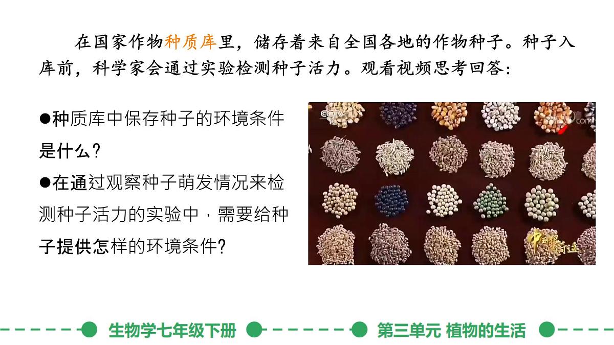 初中生物人教版（2024）七年级下册3.1.1 种子的萌发 课件第3页