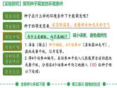 初中生物人教版（2024）七年級(jí)下冊(cè)3.1.1 種子的萌發(fā) 課件