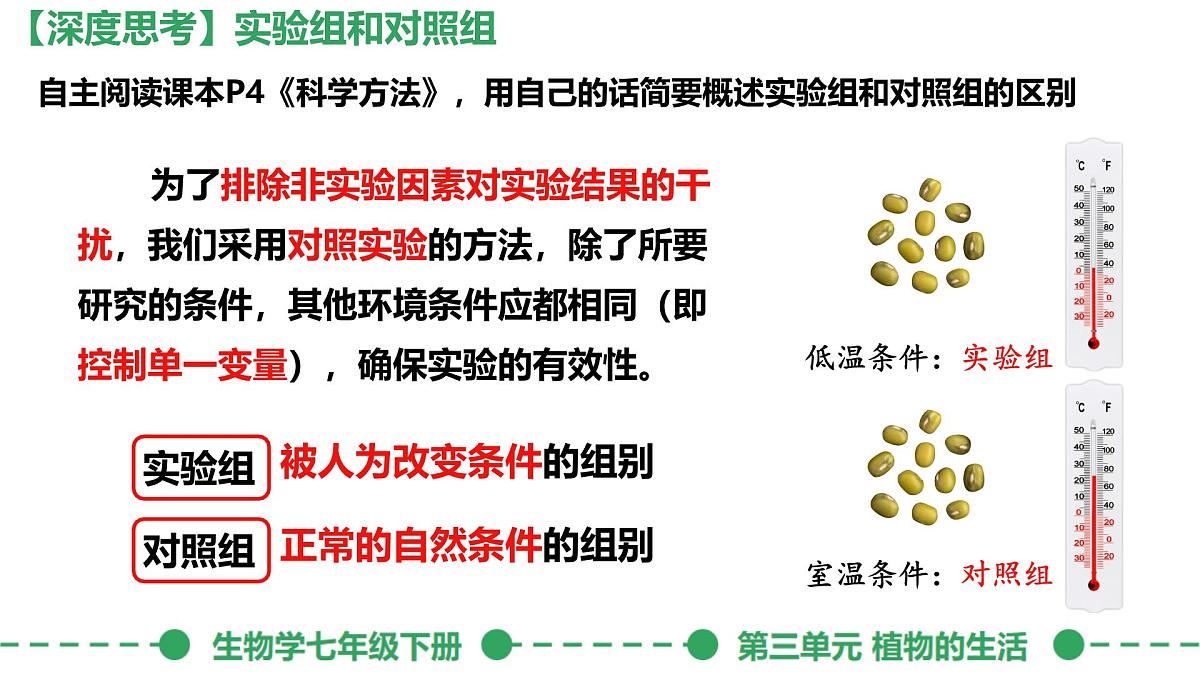 初中生物人教版（2024）七年级下册3.1.1 种子的萌发 课件第7页