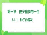 初中生物人教版（2024）七年級(jí)下冊(cè)3.1.1 種子的萌發(fā) 課件
