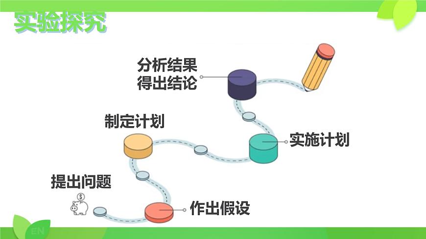 初中生物人教版（2024）七年级下册3.1.1 种子的萌发 课件第3页