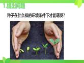 初中生物人教版（2024）七年級(jí)下冊(cè)3.1.1 種子的萌發(fā) 課件