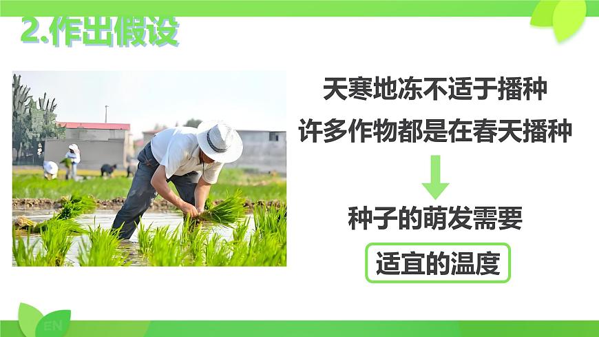 初中生物人教版（2024）七年级下册3.1.1 种子的萌发 课件第5页