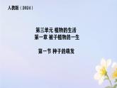 初中生物人教版（2024）七年级下册3.1.1 种子的萌发 课件