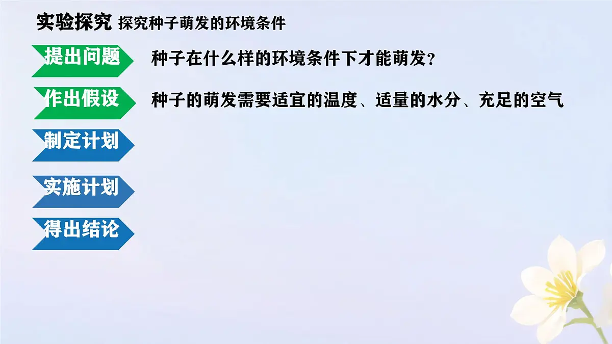 初中生物人教版（2024）七年级下册3.1.1 种子的萌发 课件第4页