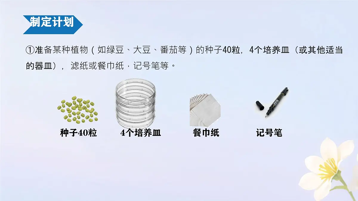 初中生物人教版（2024）七年级下册3.1.1 种子的萌发 课件第5页