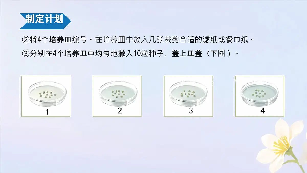 初中生物人教版（2024）七年级下册3.1.1 种子的萌发 课件第6页