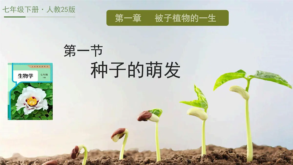 初中生物人教版（2024）七年级下册3.1.1 种子的萌发 课件第1页