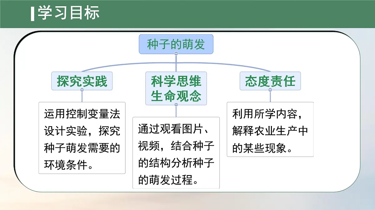 初中生物人教版（2024）七年级下册3.1.1 种子的萌发 课件第3页