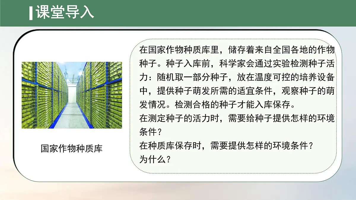 初中生物人教版（2024）七年级下册3.1.1 种子的萌发 课件第4页
