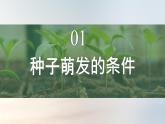 初中生物人教版（2024）七年級下冊3.1.1 種子的萌發(fā) 課件