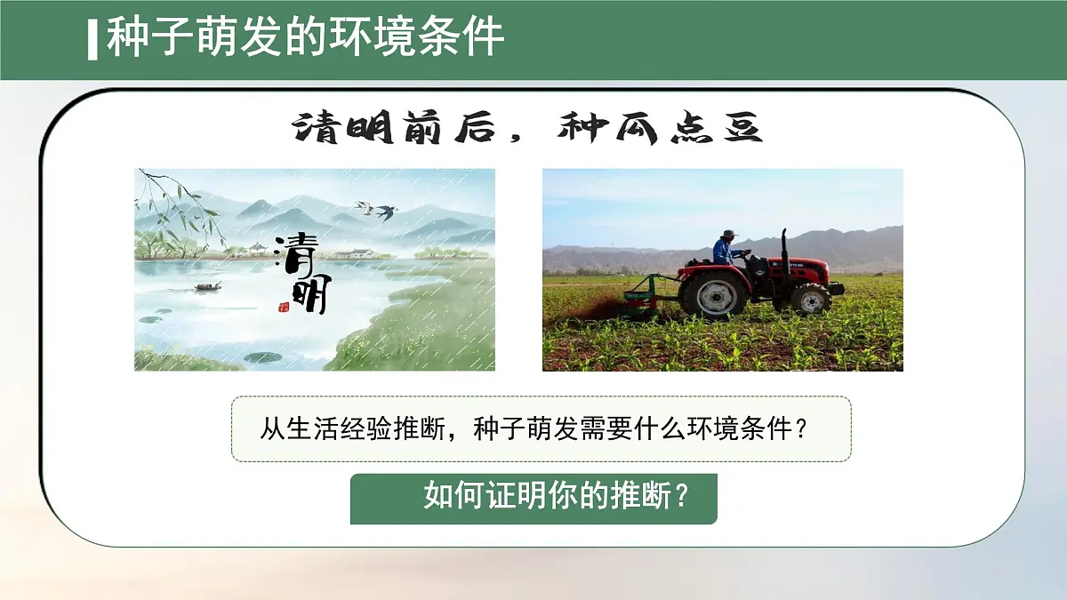 初中生物人教版（2024）七年级下册3.1.1 种子的萌发 课件第6页