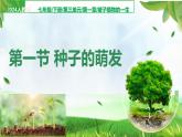 初中生物人教版（2024）七年級(jí)下冊(cè)3.1.1 種子的萌發(fā) 課件