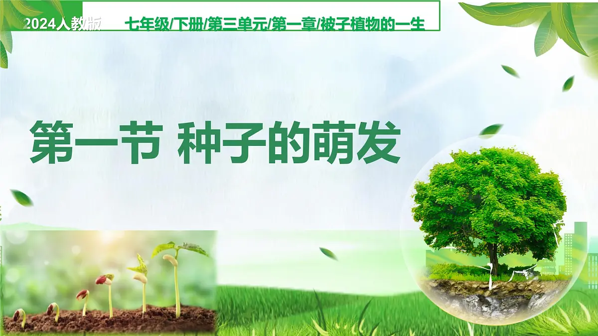 初中生物人教版（2024）七年级下册3.1.1 种子的萌发 课件第1页