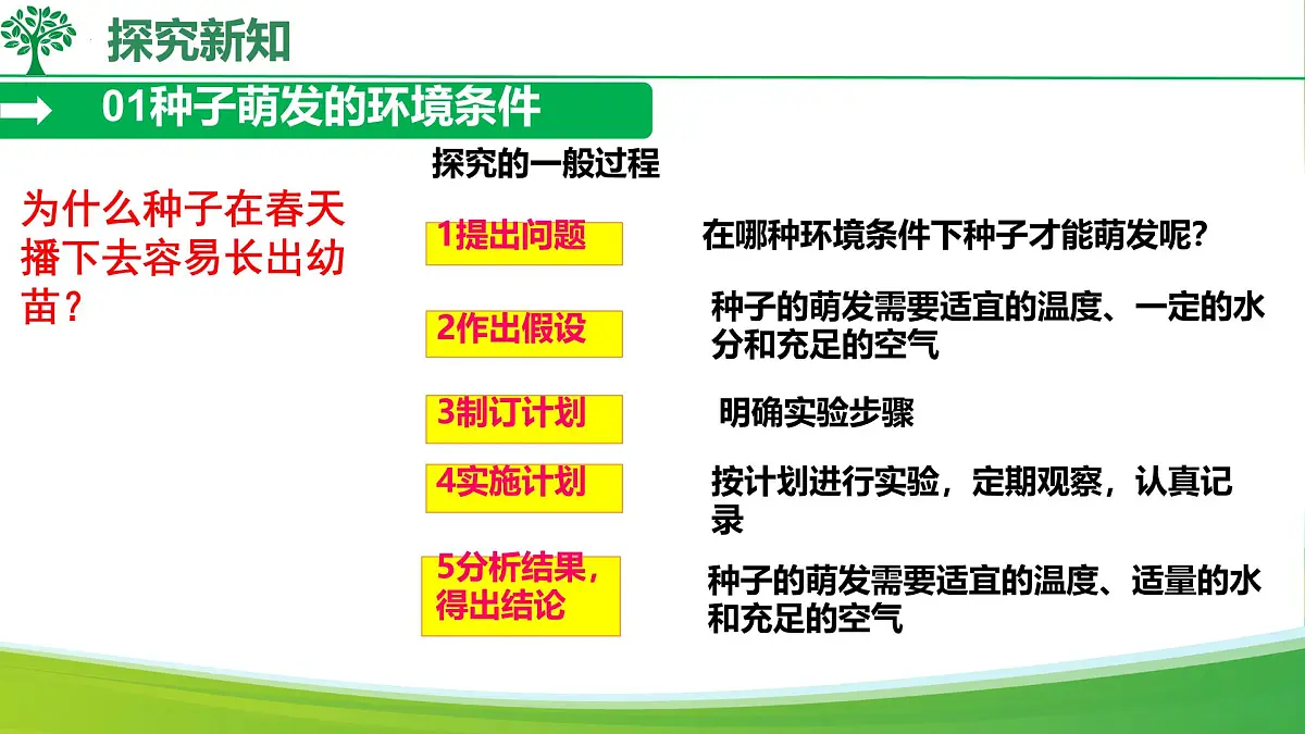 初中生物人教版（2024）七年级下册3.1.1 种子的萌发 课件第4页