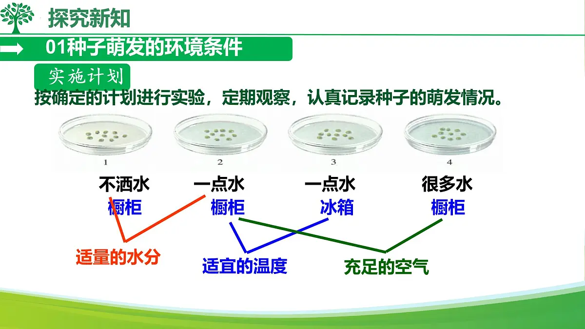 初中生物人教版（2024）七年级下册3.1.1 种子的萌发 课件第5页
