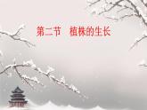 初中 生物 人教版（2024）七年级下册3.1.2 植株的生长 课件