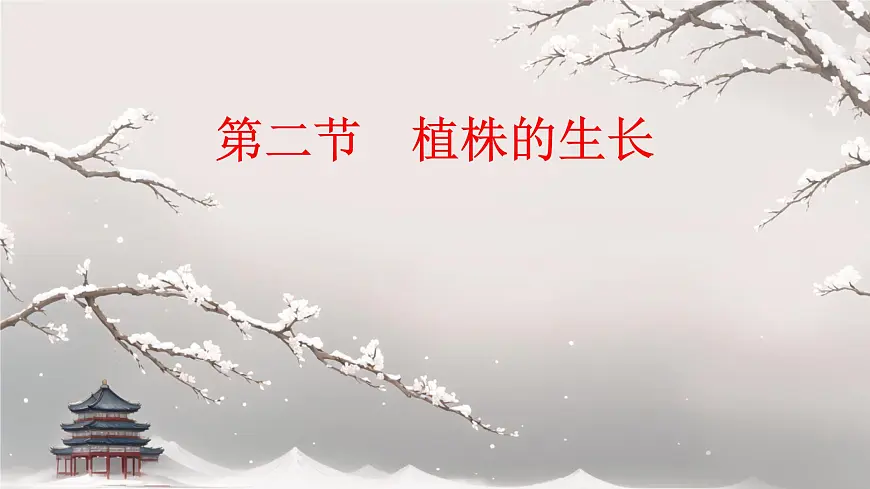 初中 生物 人教版（2024）七年级下册3.1.2 植株的生长 课件第1页