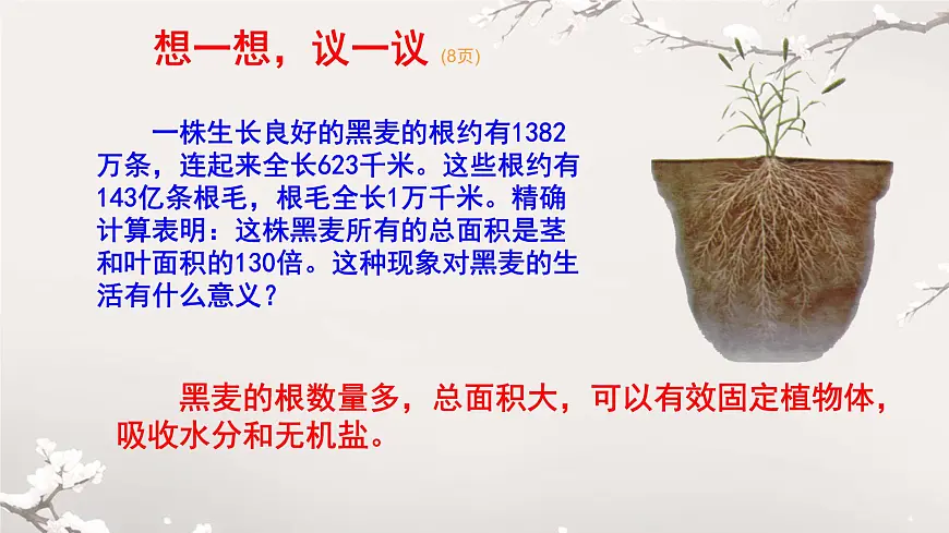 初中 生物 人教版（2024）七年级下册3.1.2 植株的生长 课件第3页